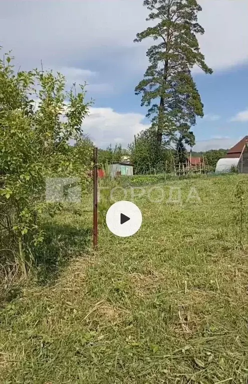 Участок 8 сот. (СНТ, ДНП) - Фото 1