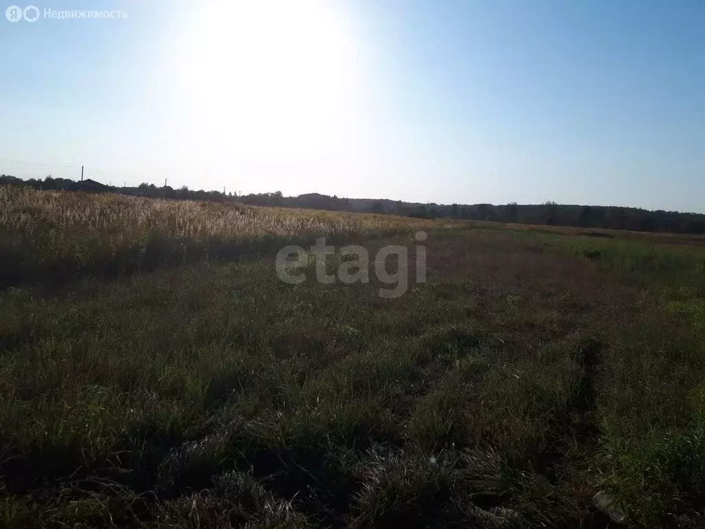 Участок в деревня Староселье, Центральная улица (32 м) - Фото 2