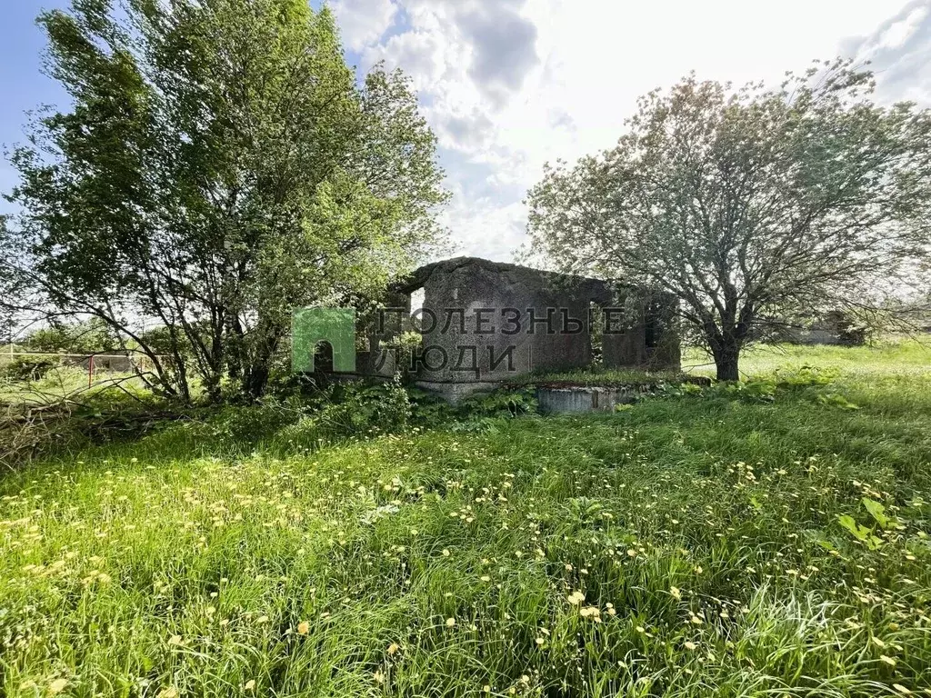 Участок в Орловская область, Знаменский район, с. Селихово Новая ул., ... - Фото 1