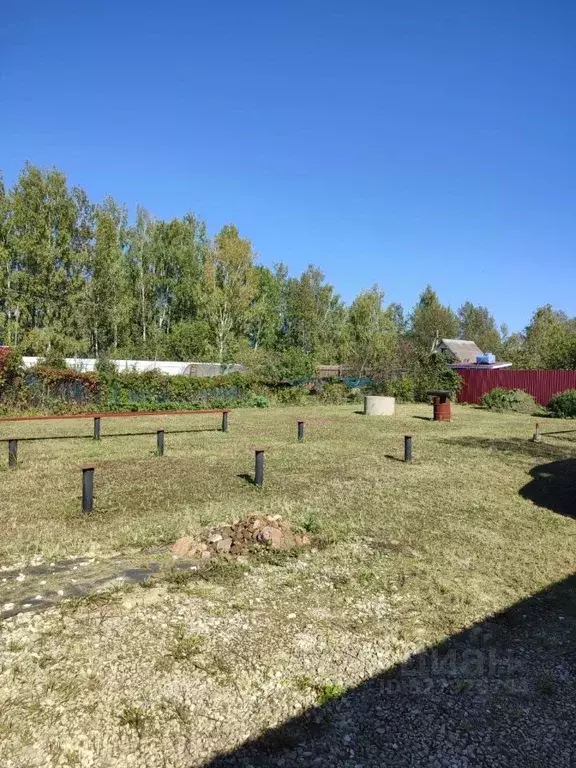 Участок в Московская область, Богородский городской округ, Колосок СНТ ... - Фото 1