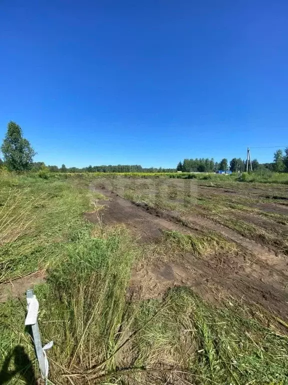 Участок в Новосибирская область, Искитимский район, с. Морозово ул. ... - Фото 1