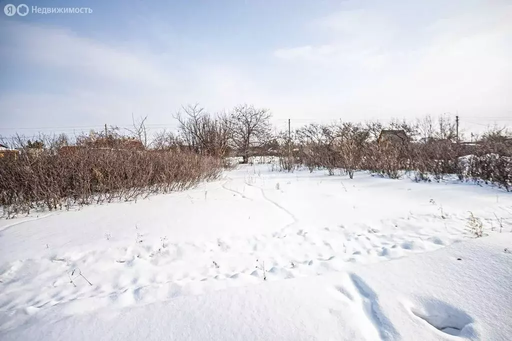 Участок в Бердск, СНТ Лесное, 13-я улица (5 м) - Фото 1