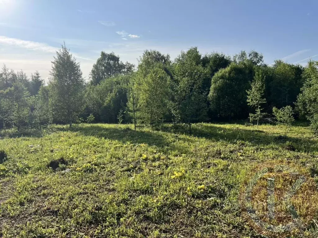 Участок в Крым, Саки Химик-1 СНТ,  (3.3 сот.) - Фото 1