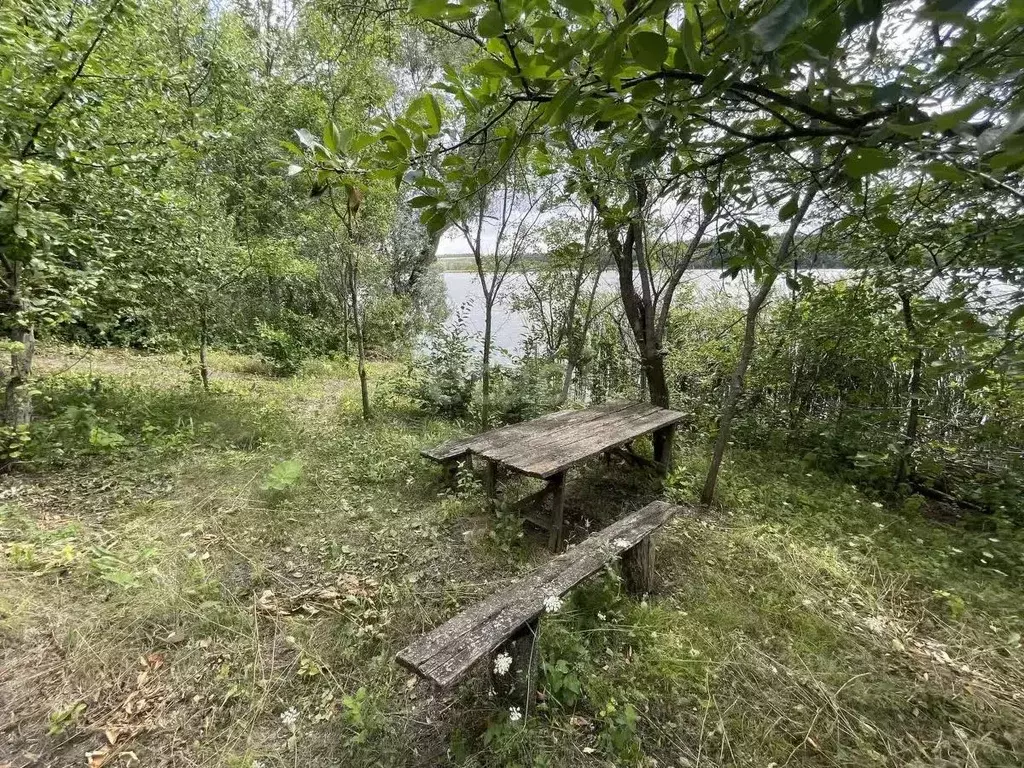 Дом в Белгородская область, Алексеевский муниципальный округ, с. ... - Фото 1