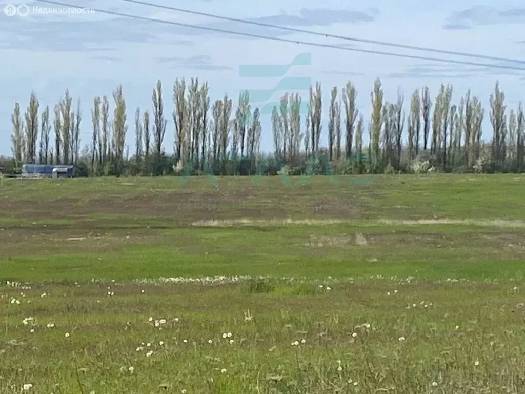 Участок в Трудовское сельское поселение, село Ивановка (400 м) - Фото 1