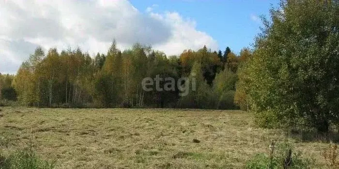 Участок в Вологодская область, Устюженский район, д. Деревяга  (20.1 ... - Фото 0