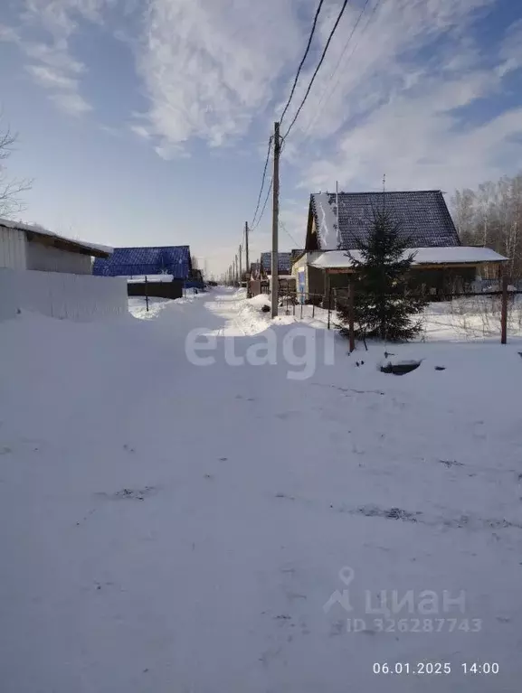 Участок в Новосибирская область, Мошковский район, с. Сокур  (9.0 ... - Фото 1