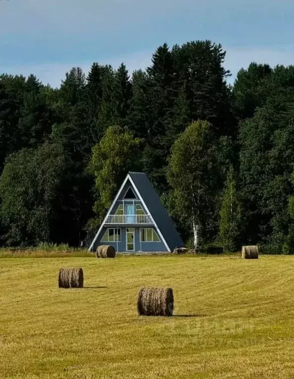 Дом в Карелия, Олонецкий район, Ильинское с/пос, д. Тулокса  (160 м) - Фото 1