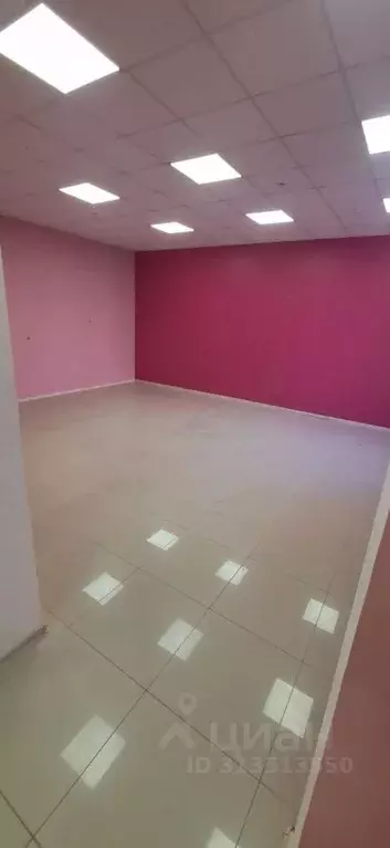 Помещение свободного назначения в Тульская область, Новомосковск ул. ... - Фото 2