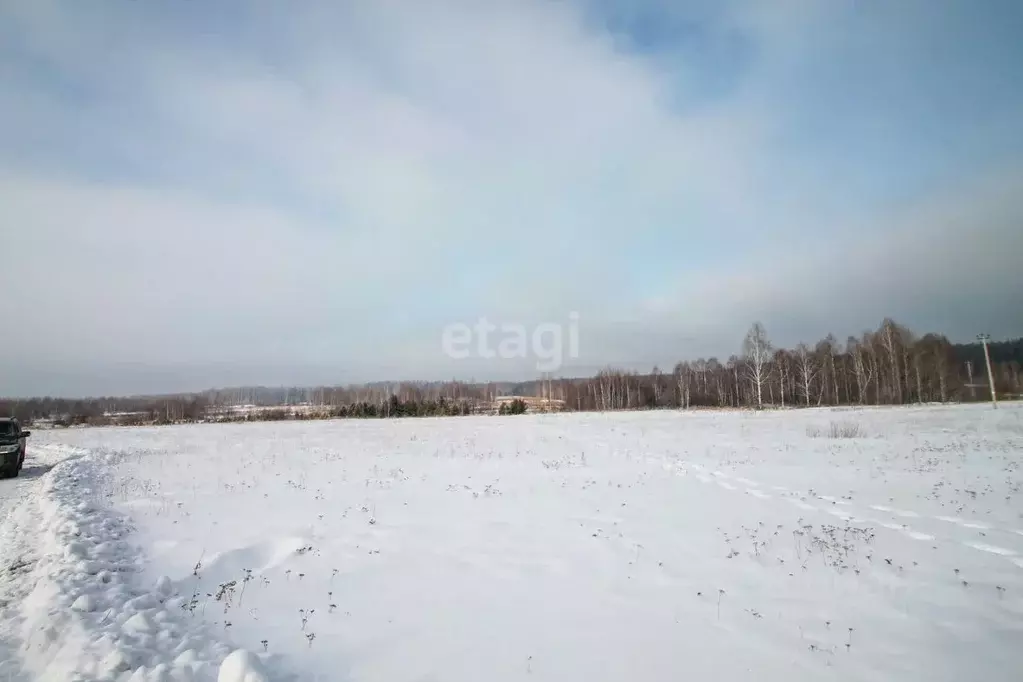 Участок в Свердловская область, Заречный муниципальный округ, с. ... - Фото 0