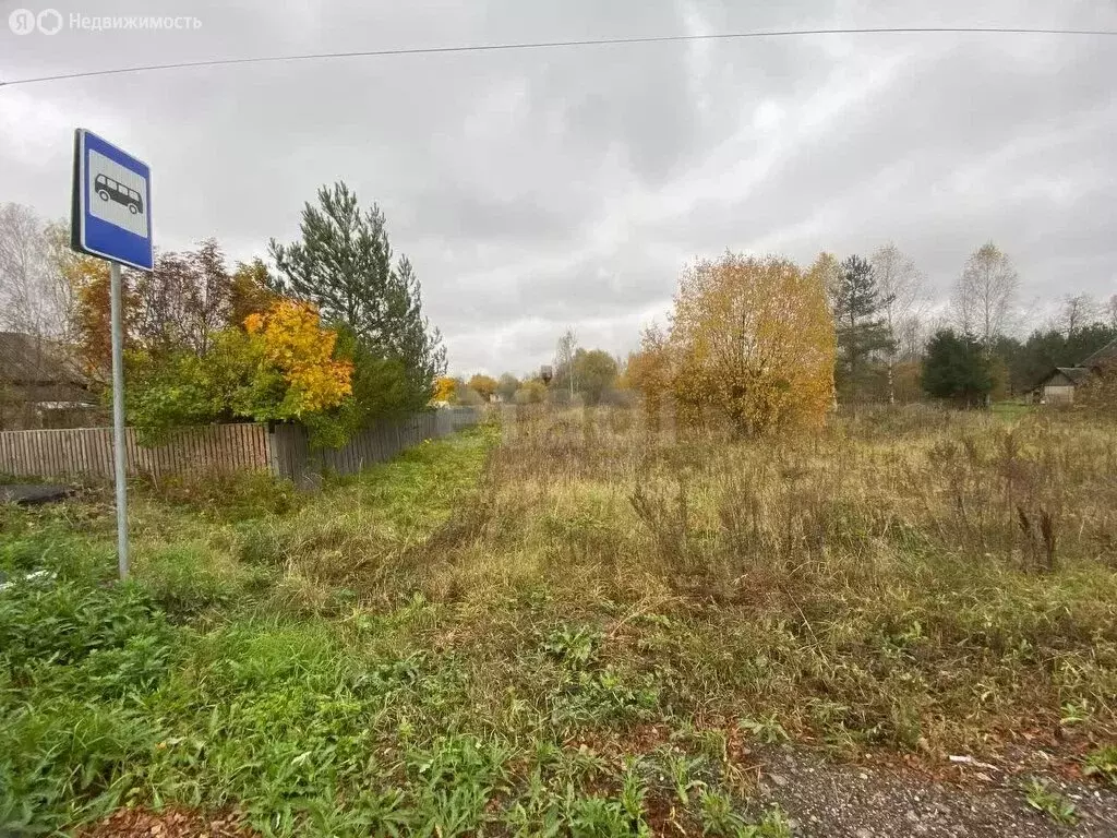 Участок в Судиславский район, Расловское сельское поселение, деревня ... - Фото 2