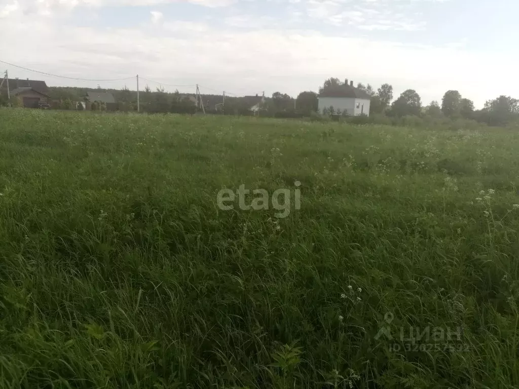 Участок в Костромская область, Красносельский район, Чапаевское с/пос, ... - Фото 1