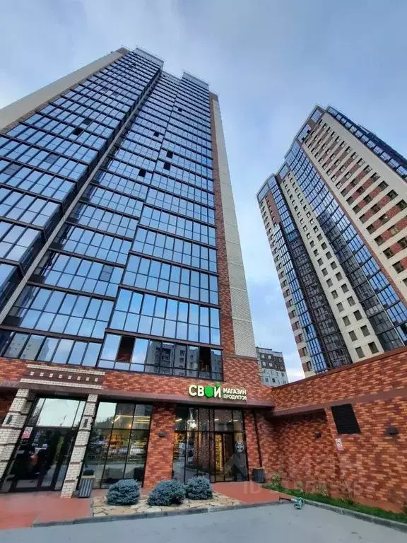 1-к кв. Новосибирская область, Новосибирск ул. Гоголя, 205 (27.0 м) - Фото 1