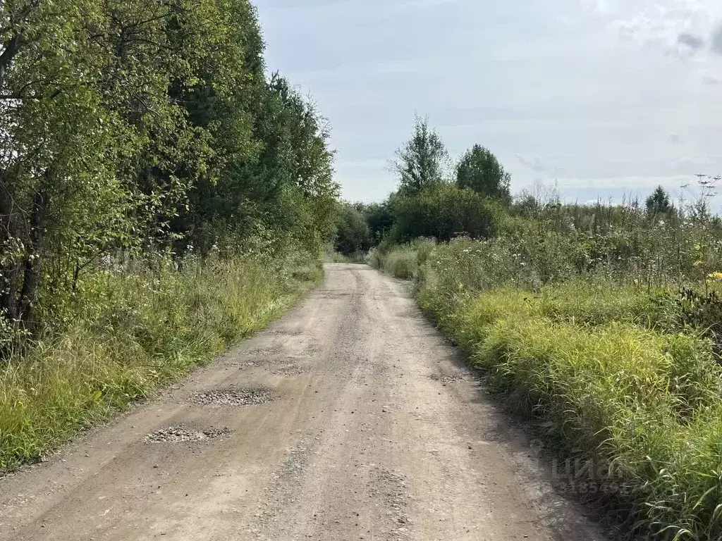 Участок в Свердловская область, Нижний Тагил с. Ольховка,  (10.25 ... - Фото 0