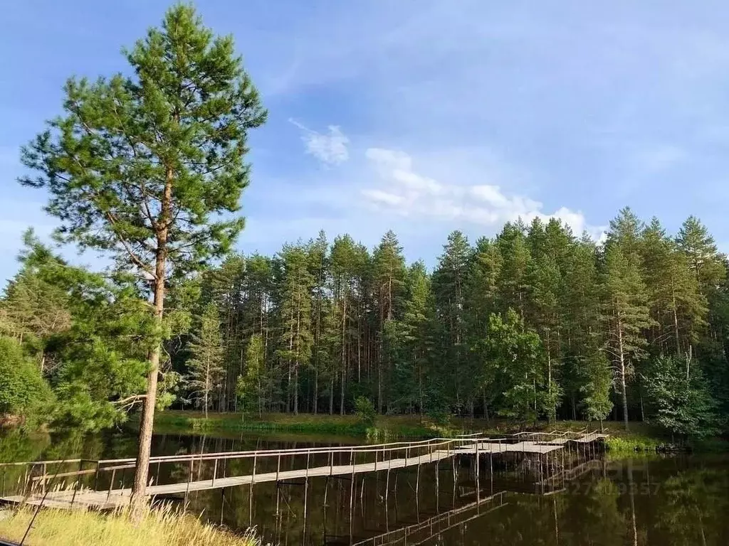 Участок в Орловская область, Хотынецкий район, Ильинское с/пос, д. ... - Фото 2