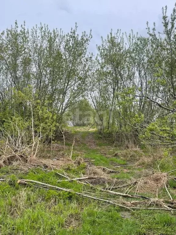 Участок в Томская область, Томский район, Приречное садовое ... - Фото 0