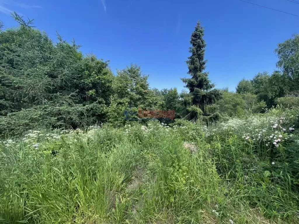 Участок в Ленинградская область, Приозерский район, Ларионовское ... - Фото 2