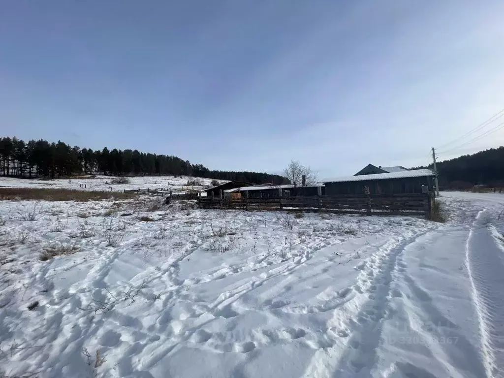 Участок в Иркутская область, Иркутский муниципальный округ, д. ... - Фото 1