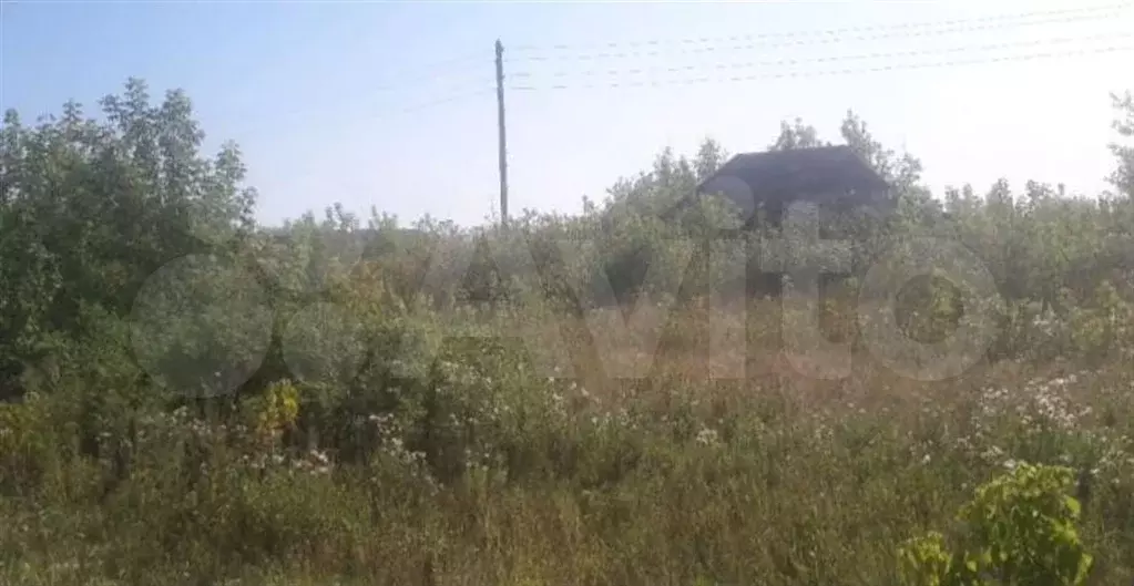Дом 45,3 м на участке 17 сот. - Фото 1