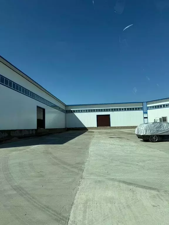 Склад в Брянская область, Брянский район, Супоневское с/пос, с. ... - Фото 1