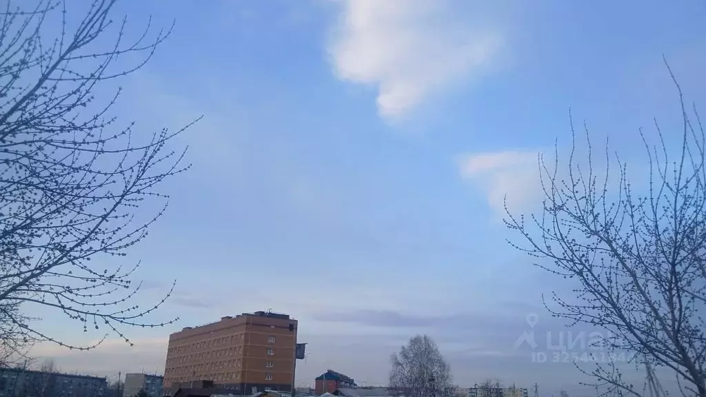 Участок в Новосибирская область, Новосибирский район, с. Криводановка  ... - Фото 1