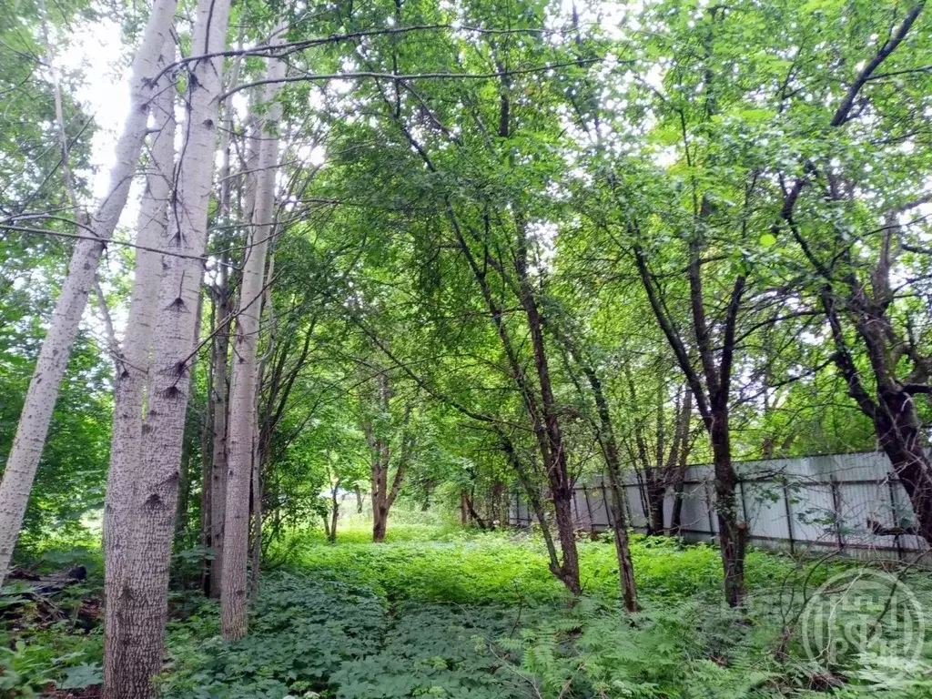Участок в Ленинградская область, Выборгский район, Рощино городской ... - Фото 1