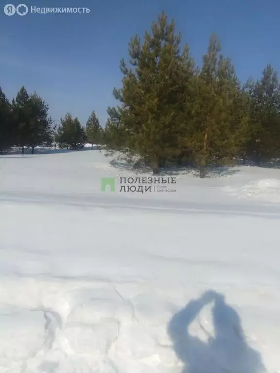 Участок в деревня Каменное, Медовая улица, 45 (10 м) - Фото 1