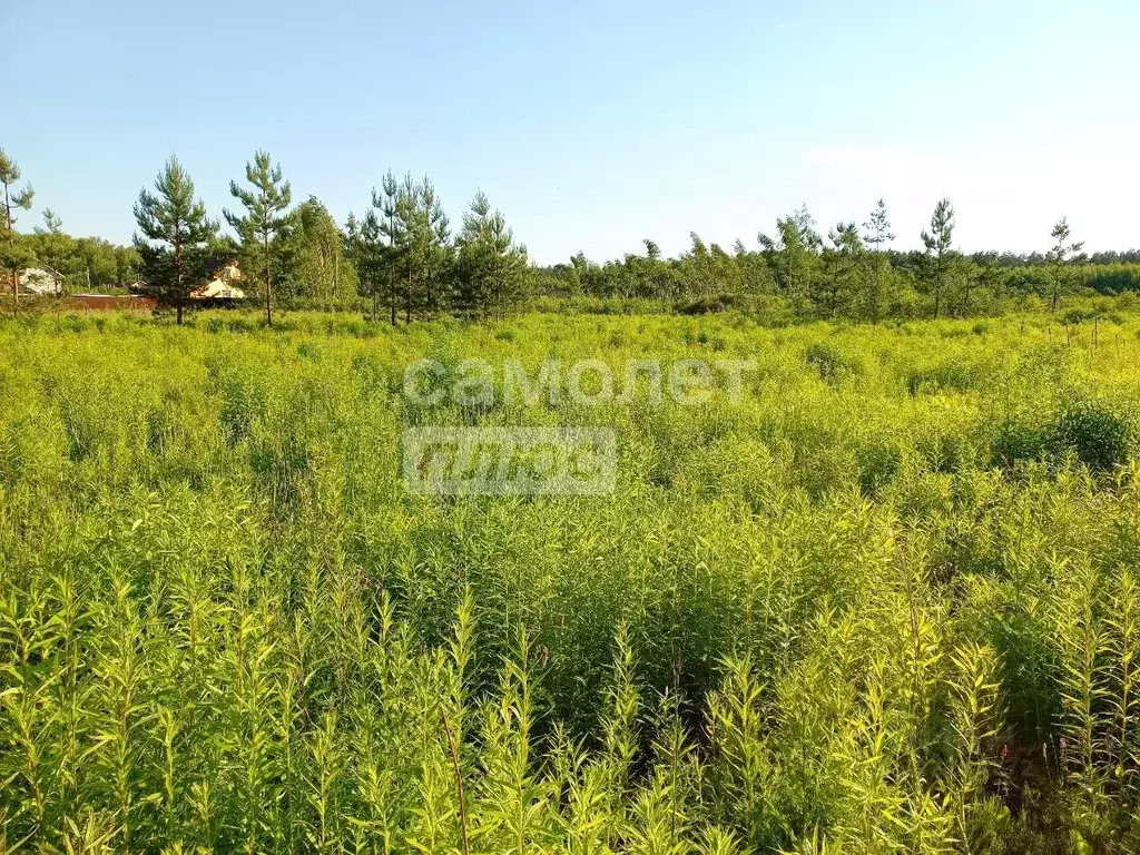 Участок в Нижегородская область, Дальнее Константиново рп пер. ... - Фото 1