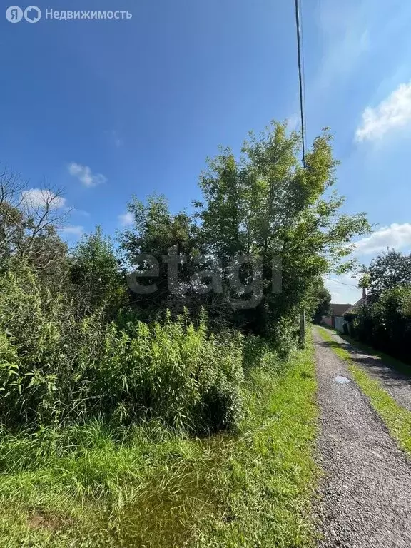 Участок в Московская область, муниципальный округ Чехов, деревня ... - Фото 2