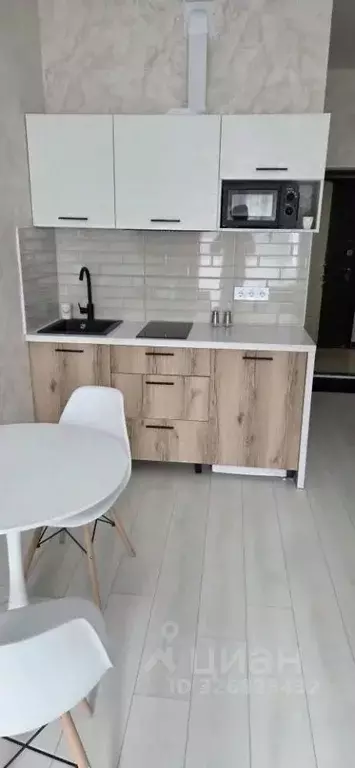 Студия Краснодарский край, Сочи ул. Ленина, 290/7 (21.0 м) - Фото 2