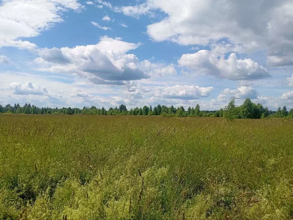 Участок в Московская область, Талдомский городской округ, д. Костино ... - Фото 1