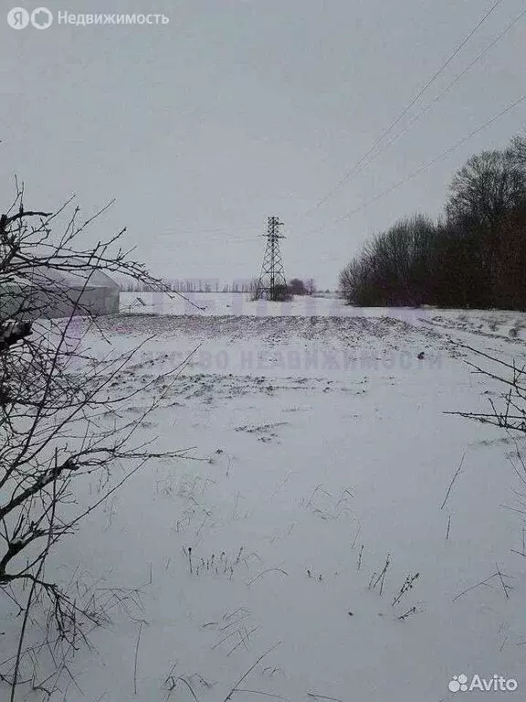 Дом в Советский район, село Ильичёво (60 м) - Фото 2