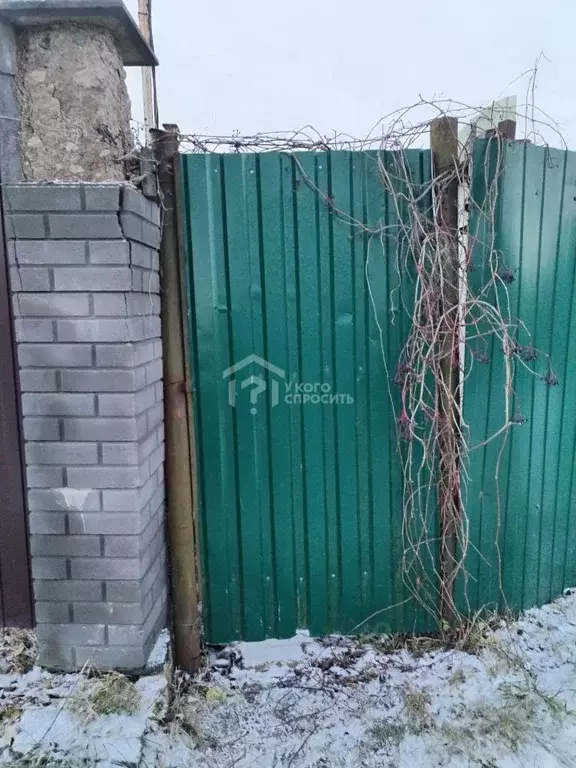 Участок в Санкт-Петербург, Санкт-Петербург, Петергоф Озерковое СНТ,  ... - Фото 1