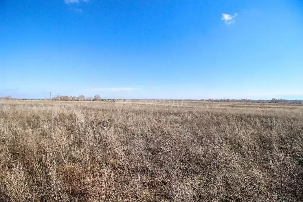 Участок в Алтайский край, Барнаул городской округ, пос. Центральный, ... - Фото 2