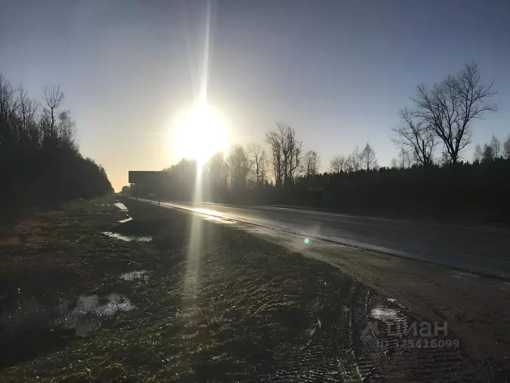 Участок в Псковская область, Палкинский район, Черская волость, с. ... - Фото 2