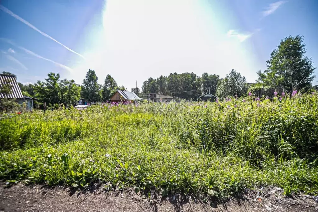 Участок в Новосибирская область, Бердск Ива СНТ, ул. 17-я (5.63 сот.) - Фото 0