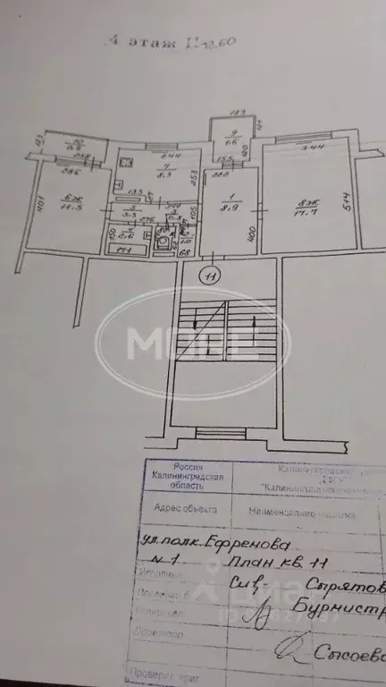 2-к кв. Калининградская область, Калининград ул. Полковника Ефремова, ... - Фото 2