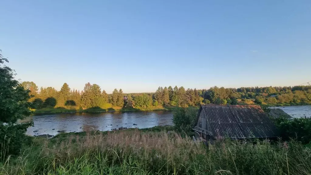 Участок в Карелия, Пряжинский район, Чалнинское с/пос, д. Виданы ул. ... - Фото 1