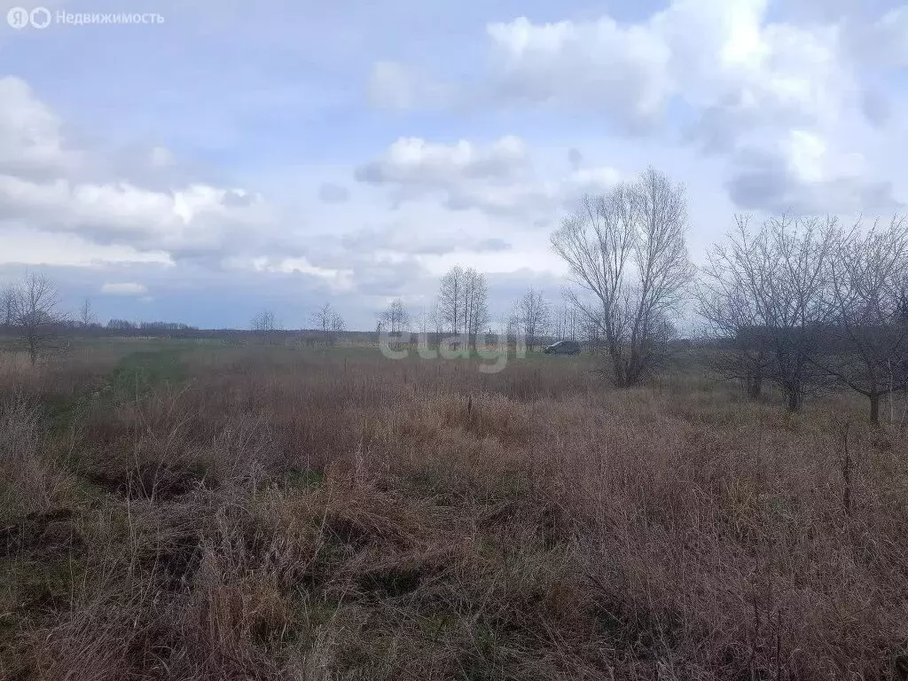 Участок в Хреновое, Нижняя улица (15 м) - Фото 1