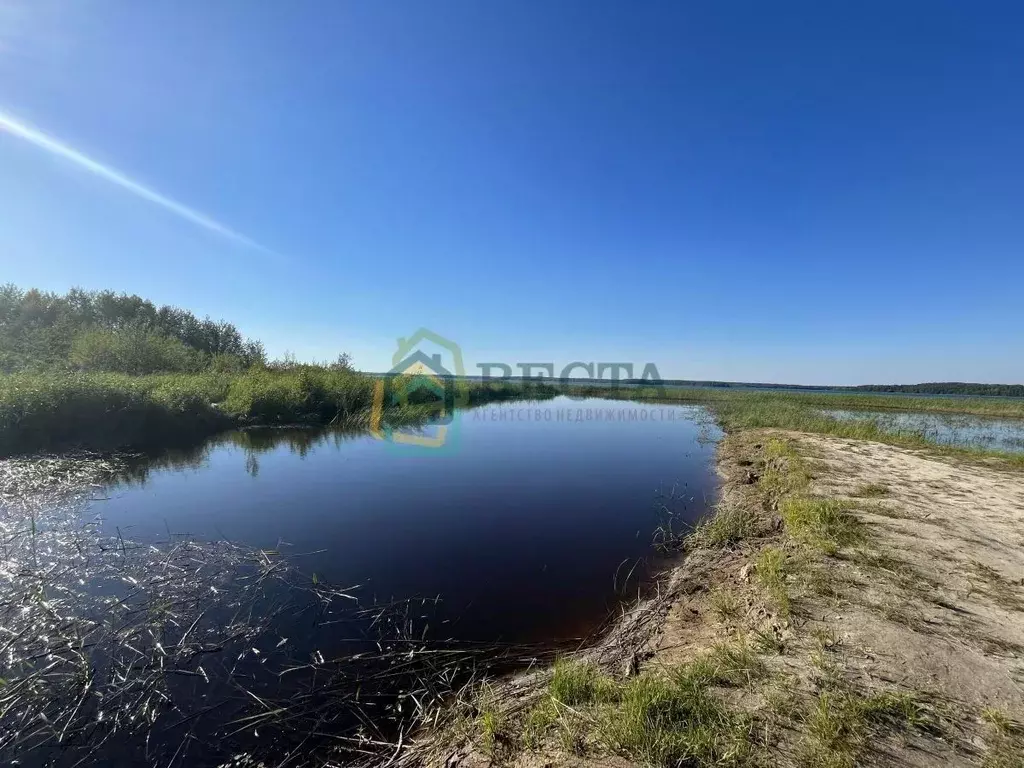 Участок в Ленинградская область, Приозерский район, Красноозерное ... - Фото 0