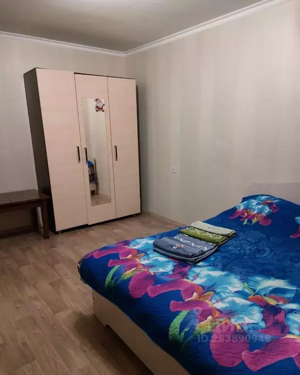 1-к кв. Пензенская область, Пенза ул. Ворошилова, 8 (32.0 м) - Фото 1
