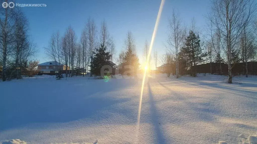 Участок в Кемеровский муниципальный округ, деревня Солонечная, ... - Фото 2