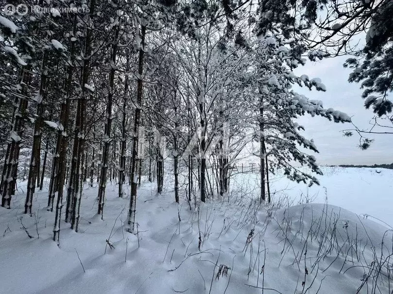 Участок в Приозерский район, Запорожское сельское поселение, посёлок ... - Фото 2