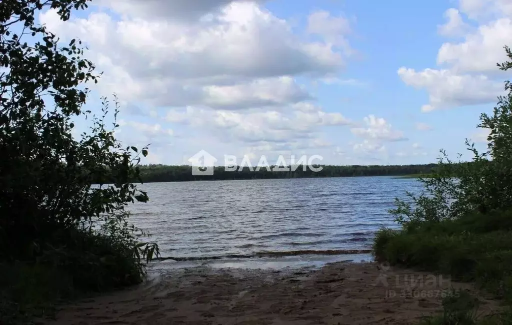 Участок в Ленинградская область, Всеволожский район, Токсовское ... - Фото 1