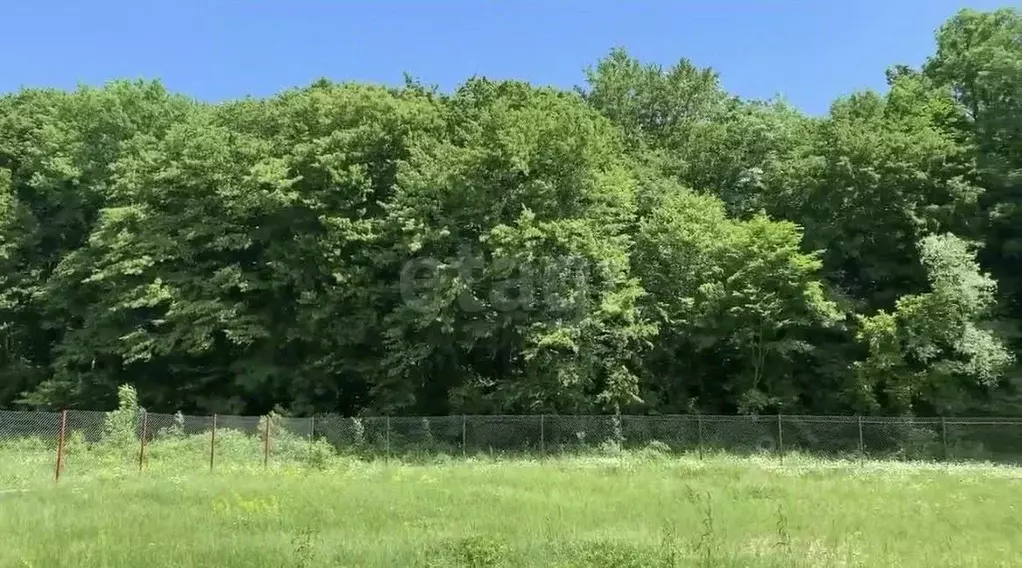 Участок в Краснодарский край, Геленджик городской округ, с. Адербиевка ... - Фото 2