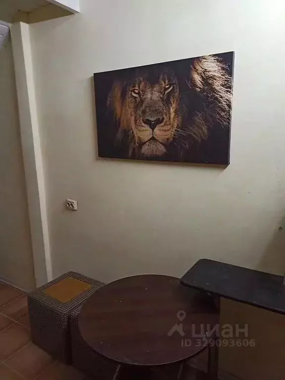 Комната Москва д. Румянцево, ул. Садовая, 85 (16.0 м) - Фото 2