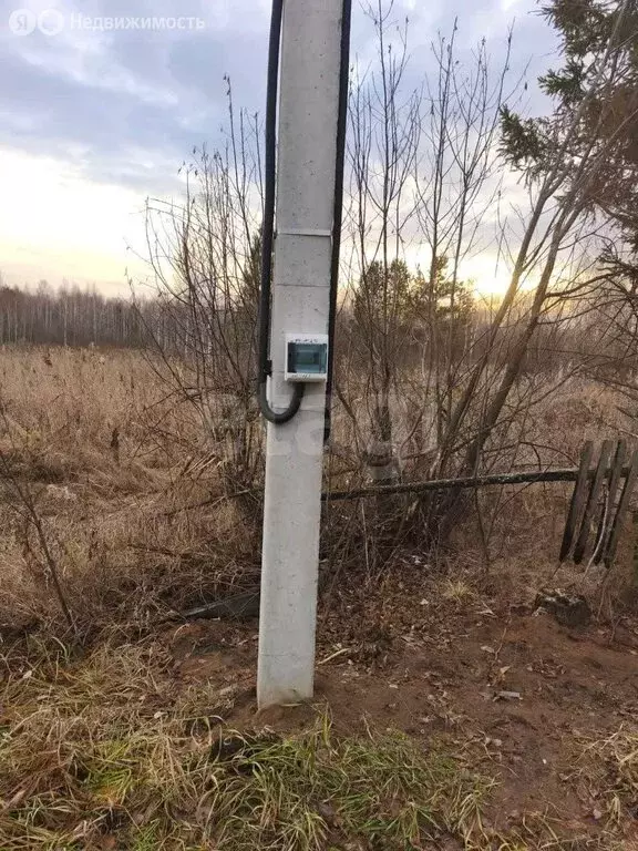 Участок в Тюменский муниципальный округ, СНТ Горошинка (10 м) - Фото 2