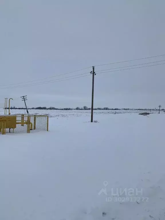 Участок в Волгоградская область, Городищенский район, Паньшинское ... - Фото 1
