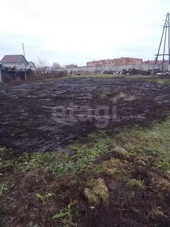 Участок в Новосибирская область, с. Новолуговое Строевая ул. (7.47 ... - Фото 1