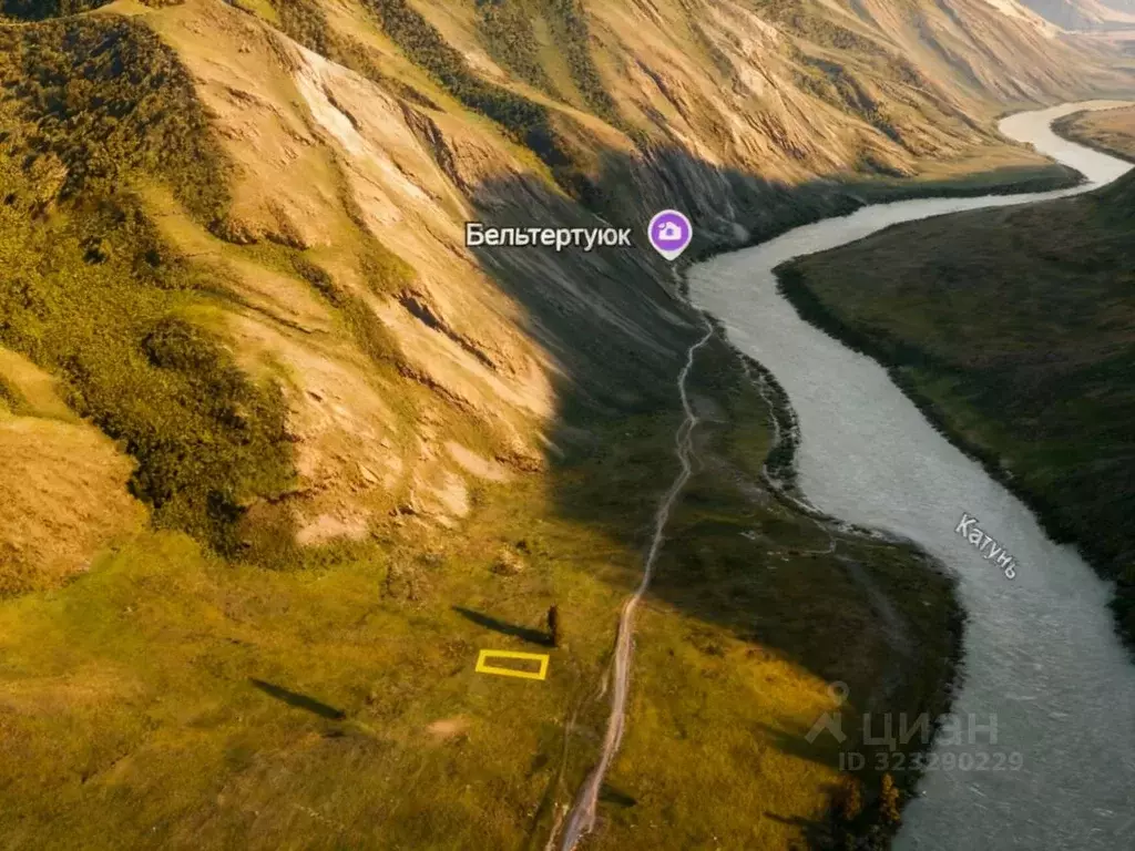 Участок в Алтай, Чемальский район, с. Куюс  (15.0 сот.) - Фото 1